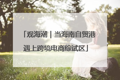 观海潮｜当海南自贸港遇上跨境电商综试区