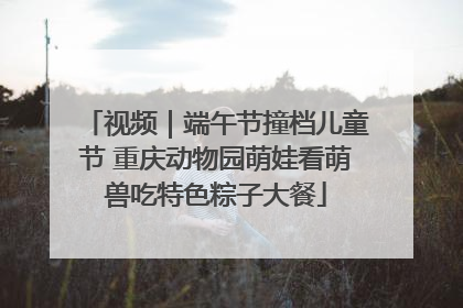 视频｜端午节撞档儿童节 重庆动物园萌娃看萌兽吃特色粽子大餐