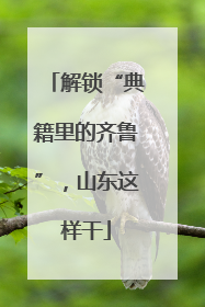 解锁“典籍里的齐鲁”，山东这样干
