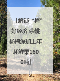 解锁“梅”好经济 余姚杨梅深加工年耗鲜果1600吨