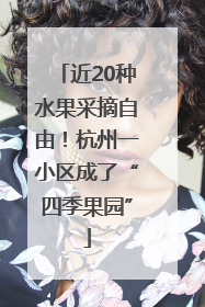 近20种水果采摘自由！杭州一小区成了“四季果园”