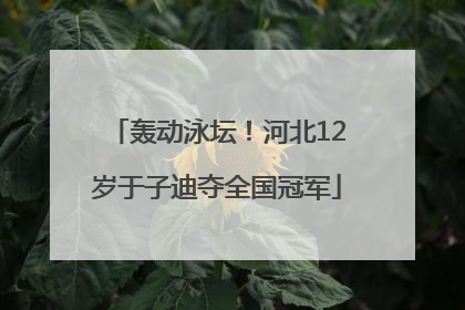 轰动泳坛！河北12岁于子迪夺全国冠军