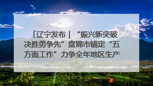 辽宁发布｜“振兴新突破 决胜勇争先”盘锦市锚定“五方面工作”力争全年地区生产总值增长5.5%左右