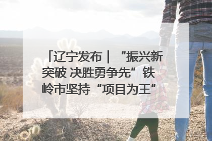 辽宁发布｜“振兴新突破 决胜勇争先”铁岭市坚持“项目为王”推进经济高质量发展