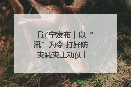 辽宁发布｜以“汛”为令 打好防灾减灾主动仗