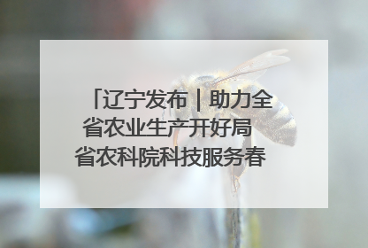 辽宁发布｜助力全省农业生产开好局 省农科院科技服务春耕备耕成效显著