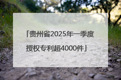 贵州省2025年一季度授权专利超4000件