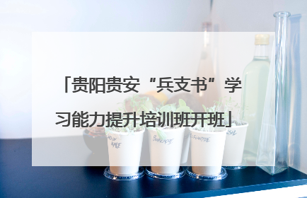 贵阳贵安“兵支书”学习能力提升培训班开班