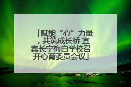 赋能“心”力量，共筑成长桥 宜宾长宁梅白学校召开心育委员会议