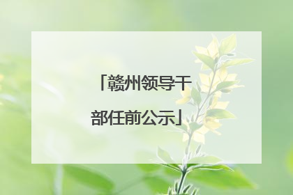 赣州领导干部任前公示
