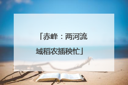 赤峰：两河流域稻农插秧忙