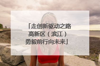 走创新驱动之路 高新区（滨江）勇毅前行向未来