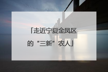 走近宁夏金凤区的“三新”农人