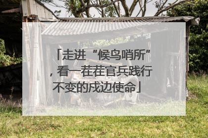 走进“候鸟哨所”，看一茬茬官兵践行不变的戍边使命