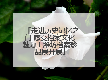 走进历史记忆之门 感受档案文化魅力！潍坊档案珍品展开展
