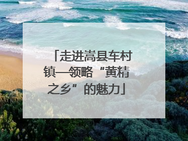走进嵩县车村镇—领略“黄精之乡”的魅力