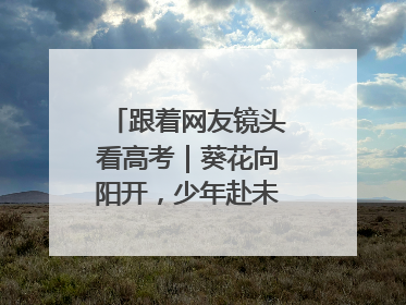 跟着网友镜头看高考｜葵花向阳开，少年赴未来，安乡高考首日的希望图景