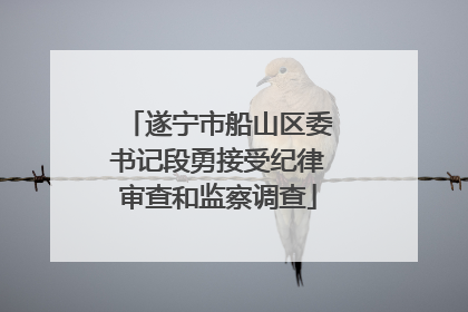 遂宁市船山区委书记段勇接受纪律审查和监察调查