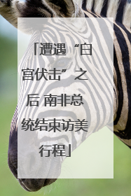 遭遇“白宫伏击”之后 南非总统结束访美行程