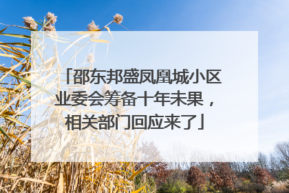 邵东邦盛凤凰城小区业委会筹备十年未果，相关部门回应来了
