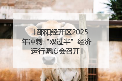 邵阳经开区2025年冲刺“双过半”经济运行调度会召开