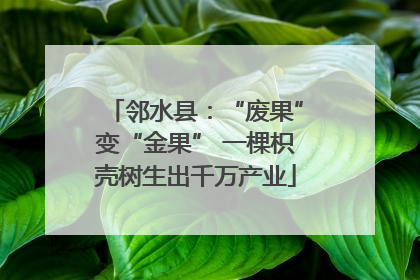 邻水县：“废果”变“金果” 一棵枳壳树生出千万产业