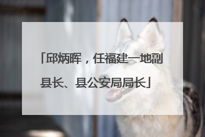 邱炳晖，任福建一地副县长、县公安局局长