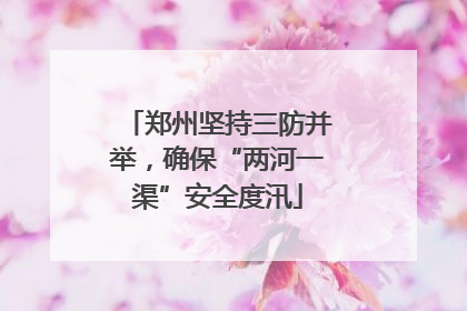 郑州坚持三防并举，确保“两河一渠”安全度汛