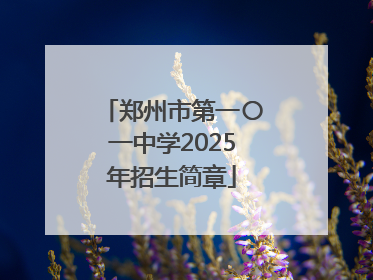 郑州市第一〇一中学2025年招生简章