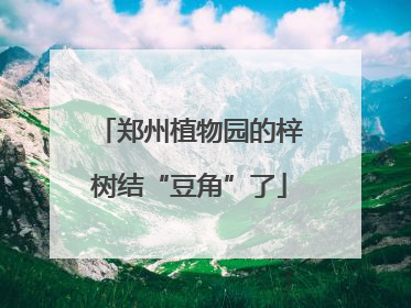 郑州植物园的梓树结“豆角”了