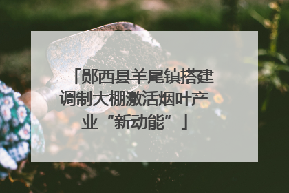 郧西县羊尾镇搭建调制大棚激活烟叶产业“新动能”