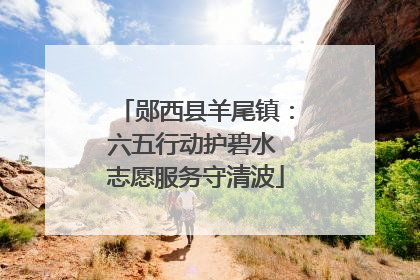 郧西县羊尾镇：六五行动护碧水 志愿服务守清波
