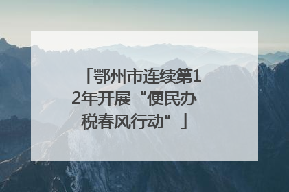 鄂州市连续第12年开展“便民办税春风行动”