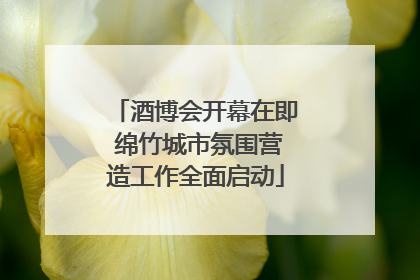酒博会开幕在即 绵竹城市氛围营造工作全面启动