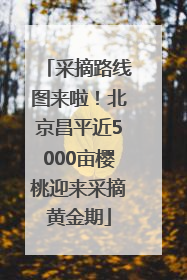 采摘路线图来啦！北京昌平近5000亩樱桃迎来采摘黄金期