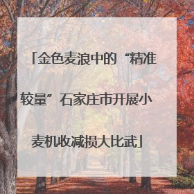 金色麦浪中的“精准较量”石家庄市开展小麦机收减损大比武