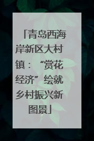 青岛西海岸新区大村镇：“赏花经济”绘就乡村振兴新图景