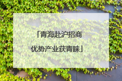 青海赴沪招商 优势产业获青睐
