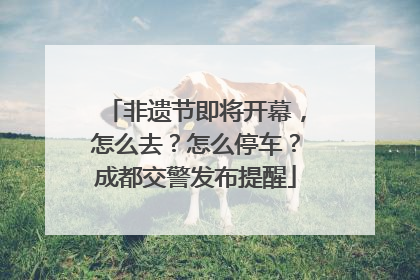 非遗节即将开幕，怎么去？怎么停车？成都交警发布提醒