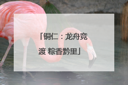 铜仁：龙舟竞渡 粽香黔里