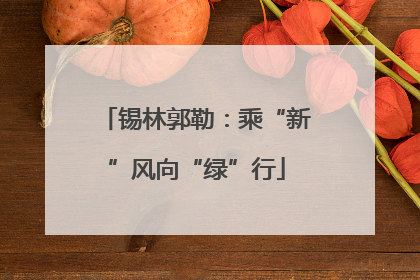 锡林郭勒：乘“新”风向“绿”行