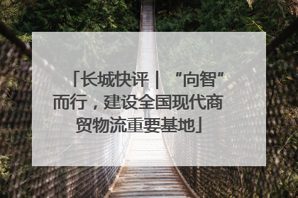 长城快评｜“向智”而行，建设全国现代商贸物流重要基地