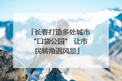 长春打造多处城市“口袋公园” 让市民转角遇风景
