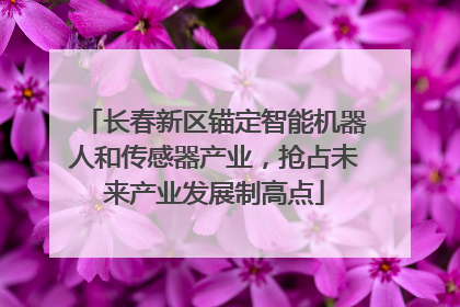 长春新区锚定智能机器人和传感器产业，抢占未来产业发展制高点