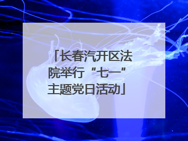 长春汽开区法院举行“七一”主题党日活动