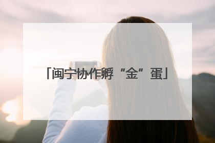 闽宁协作孵“金”蛋
