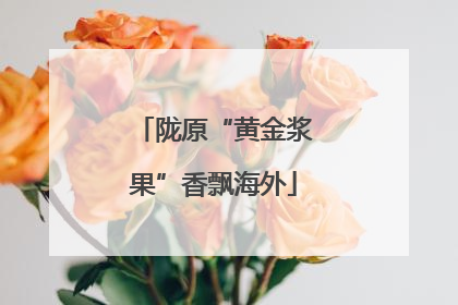 陇原“黄金浆果”香飘海外