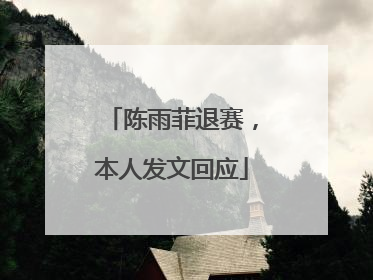 陈雨菲退赛，本人发文回应