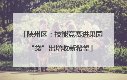 陕州区：技能竞赛进果园 “袋”出增收新希望