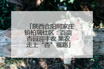 陕西合阳同家庄镇柏瑞社区：百亩杏园迎丰收 果农走上“杏”福路